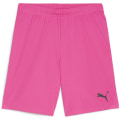 Puma teamGOAL Herren Shorts