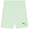 Puma teamGOAL Herren Shorts