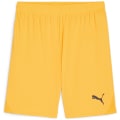Puma teamGOAL Herren Shorts