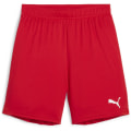 Puma teamGOAL Junior Kinder Shorts