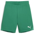 Puma teamGOAL Junior Kinder Shorts