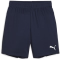 Puma teamGOAL Junior Kinder Shorts