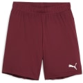 Puma teamGOAL Junior Kinder Shorts