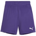 Puma teamGOAL Junior Kinder Shorts