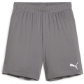 Puma teamGOAL Junior Kinder Shorts
