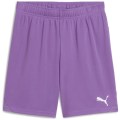Puma teamGOAL Junior Kinder Shorts