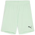 Puma teamGOAL Junior Kinder Shorts