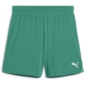 Puma teamGOAL Damen Shorts