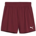 Puma teamGOAL Damen Shorts