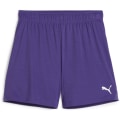 Puma teamGOAL Damen Shorts
