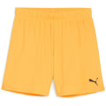 Puma teamGOAL Damen Shorts
