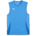 Puma teamGOAL Herren T-Shirt
