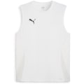 Puma teamGOAL Herren T-Shirt