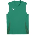 Puma teamGOAL Herren T-Shirt