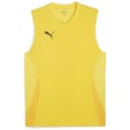 Puma teamGOAL Herren T-Shirt