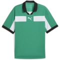 Puma teamCLASSIC Match Herren T-Shirt
