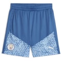 Puma Manchester City Training Herren Shorts