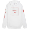 Puma ÖFB Ftblicons Herren Kapuzensweater