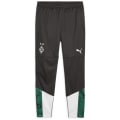 Puma Borussia Mönchengladbach Training Herren Trainingshose