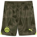 Puma Borussia Dortmund GK Replica