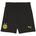 Puma Borussia Dortmund Replica
