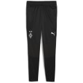 Puma Borussia Mönchengladbach Training
