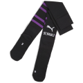 Puma Team FC St. Pauli Graphic Replica