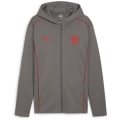 Puma Fcsp Casuals Hooded