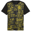 Puma BVB Prematch Herren T-Shirt