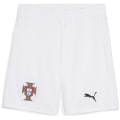 Puma FPF Replica Herren Shorts