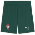Puma FPF Replica Herren Shorts