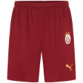 Puma GSK Home Replica w/o sponsor