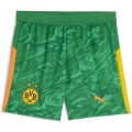 Puma BVB GK Replica w/ blocking Junior
