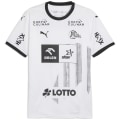 Puma THW Kiel Home