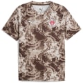 Puma FC St. Pauli Warm Up Herren T-Shirt