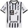 Puma THW Kiel Home