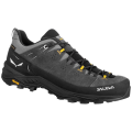 Salewa Alp Trainer 2 GTX Herren Trekking-Halbschuhe