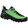 Salewa Alp Trainer 2 GTX Herren Trekking-Halbschuhe