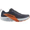 Salomon Sense Ride 5 Gore-Tex Herren Trailrunningschuhe