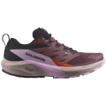 Salomon Sense Ride 5 Gore-Tex Damen Trailrunningschuhe