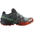 Salomon Speedcross 6 GTX Herren Trailrunningschuhe