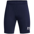 Under Armour Challenger Core Jungen Shorts