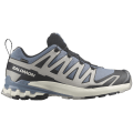Salomon XA Pro 3D V9 GTX Herren Trailrunningschuhe