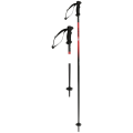 Witeblaze Alpine Pro Alpin-Skistöcke