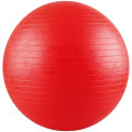V3Tec Gymnastik Ball Unisex