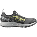Salomon Wander Gore-Tex Herren Trailrunningschuhe
