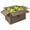 Wilson Triniti Club 72 Ball Box Tennisbälle