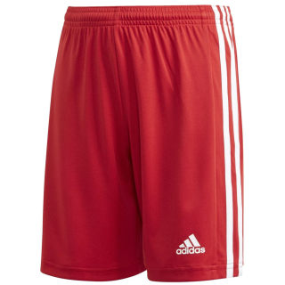 Adidas Squadra 21 Shorts Jungen
