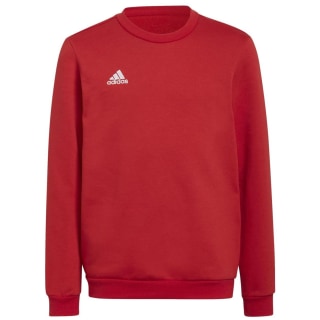 Adidas Entrada 22 Sweatshirt Kinder