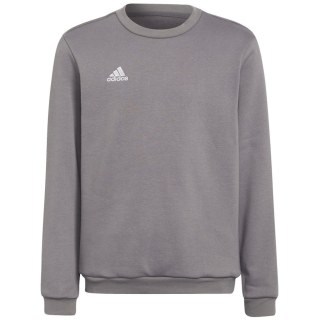 Adidas Entrada 22 Sweatshirt Kinder